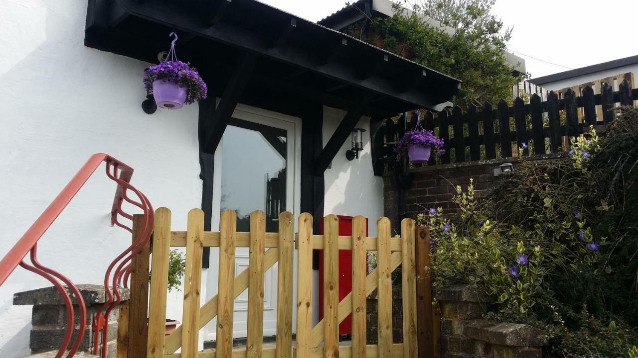 LlandeglaWelsh Row House公寓 外观 照片